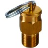 Pressure Relief Device 1/4" 10 psi